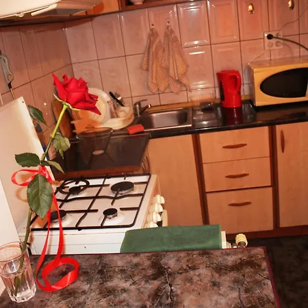 Decebal 1 Premium Apartament *