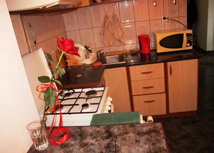 Decebal 1 Premium Apartament *